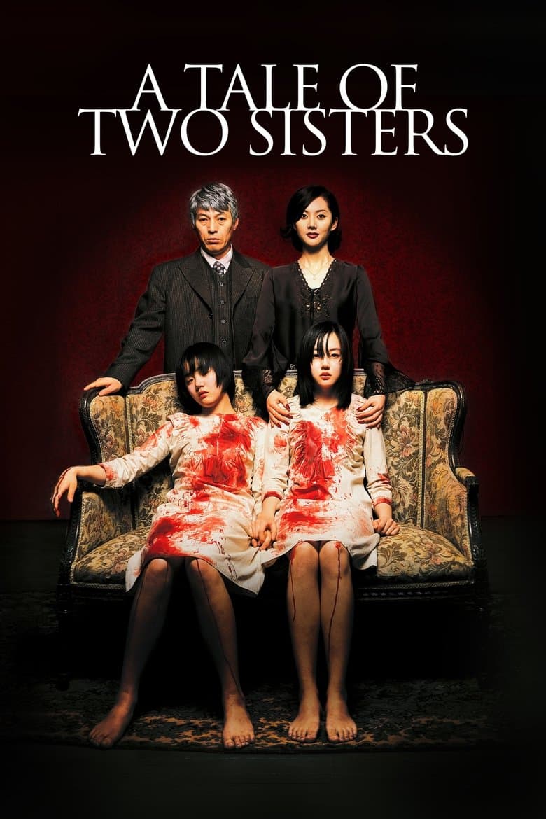 a tale of two sisters poster