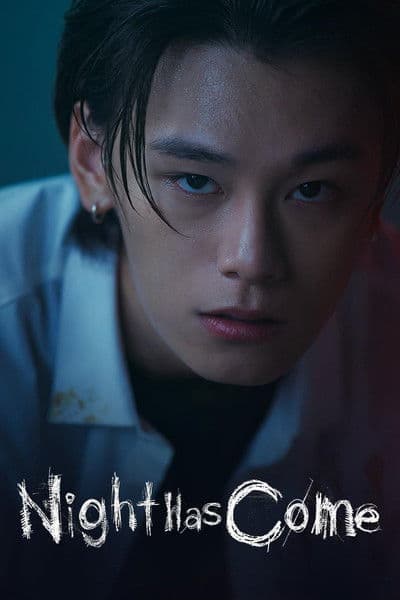 night has come poster