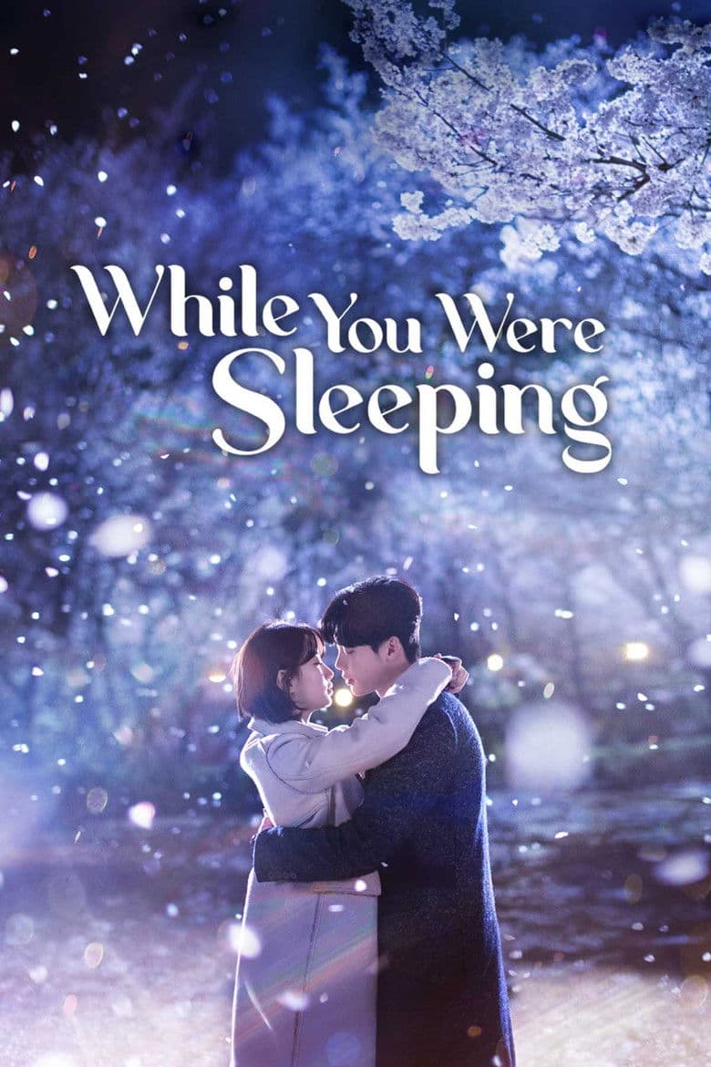 while you were sleeping poster